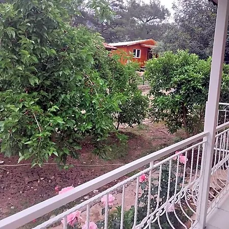 Village Garden Hotel 3*