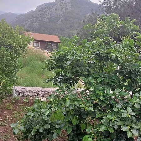 Village Garden 3*