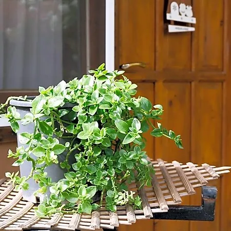 Hotel Village Garden