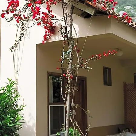 Village Garden Kemer