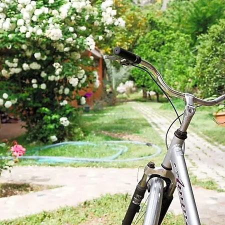 Village Garden