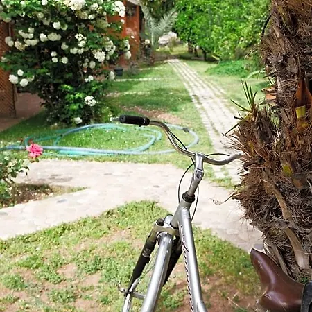 Village Garden