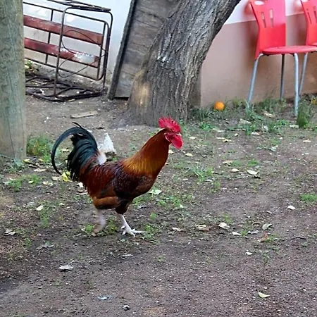 Village Garden Kemer