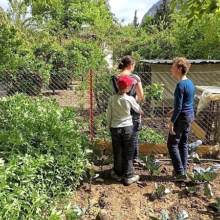 Village Garden